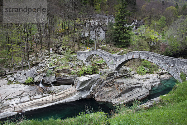 Ponte dei Salti  17. Jhdt.  am Fluss Verzasca  Lavertezzo  Verzascatal  Tessin  Schweiz  Europa