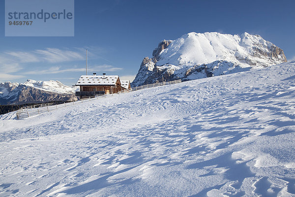 Alm vor Plattkofel im Winter  Saltria  Südtirol  Italien  Europa