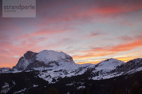 Morgenrot über Plattkofel im Winter  Saltria  Südtirol  Italien  Europa