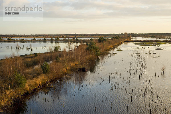 Moorlandschaft  Naturschutzgebiet Tister Bauernmoor  Niedersachsen  Deutschland  Europa