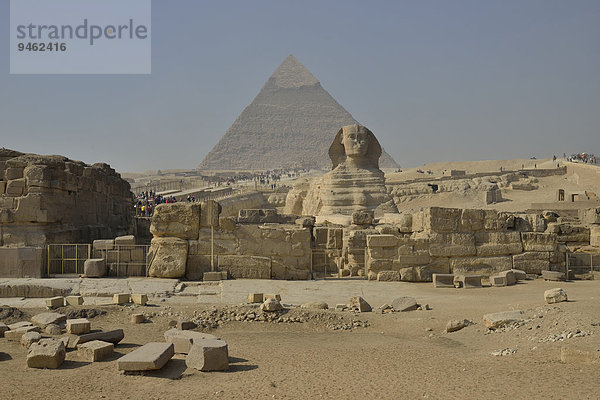 Große Sphinx von Giseh  Löwendarstellung mit Menschenkopf  erbaut in der 4. Ägyptischen Dynastie um 2700 v. Chr.  vor der Pyramide des Chephren  Giseh  Ägypten  Afrika