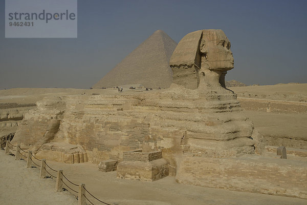 Große Sphinx von Giseh  Löwendarstellung mit Menschenkopf  erbaut in der 4. Ägyptischen Dynastie um 2700 v. Chr.  vor der Pyramide des Cheops  Giseh  Ägypten  Afrika