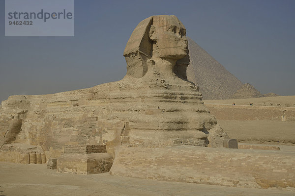 Große Sphinx von Giseh  Löwendarstellung mit Menschenkopf  erbaut in der 4. Ägyptischen Dynastie um 2700 v. Chr.  vor der Pyramide des Cheops  Giseh  Ägypten  Afrika