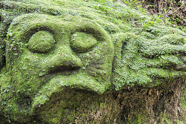 Bemooste Skulptur im Wald  Goa Gajah  Elefantenhöhle  Höhlenkomplex  Bali  Indonesien  Asien