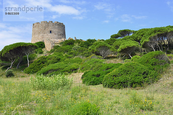 Der Wachturm Torre Spagnola  Santa Teresa Gallura  Provinz Olbia-Nebbio  Sardinien  Italien  Europa
