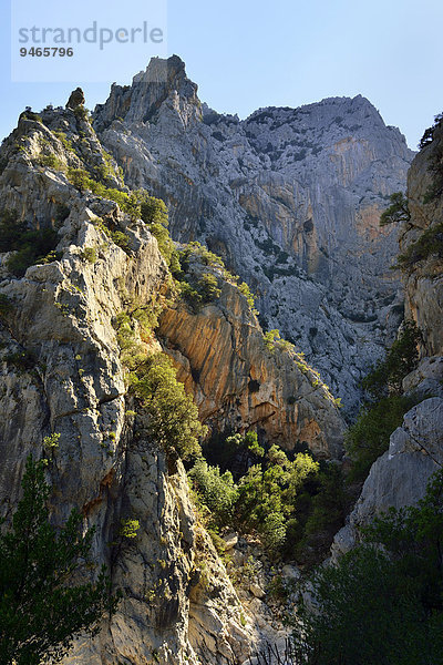 Steile Felswände in der Schlucht Gola Gorropu  Gennargentu-Nationalpark  Supramonte  Provinz Nuoro  Sardinien  Italien  Europa