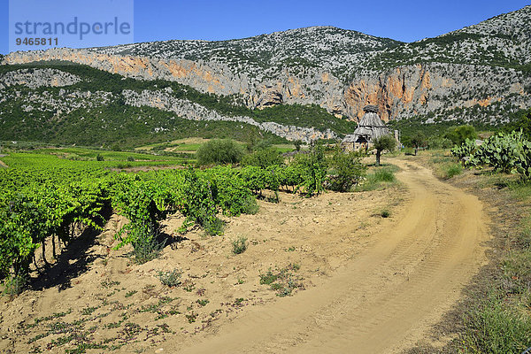 Hirtenhütte in einem Weingarten  Gennargentu-Nationalpark  Supramonte  Provinz Nuoro  Sardinien  Italien  Europa