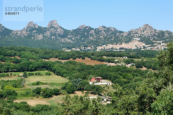 Zerklüftetes Bergpanorama  bei Aggius  Provinz Olbia-Tempio  Sardinien  Italien  Europa