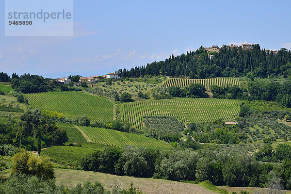 Landschaft mit Weingärten im Anbaugebiet des Chianti Classico  Lecchi in Chianti  Provinz Siena  Toskana  Italien  Europa