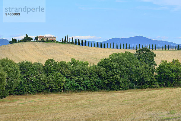 Gutshof mit Zypressenallee im Orciatal oder Val d'Orcia  Provinz Siena  Toskana  Italien  Europa