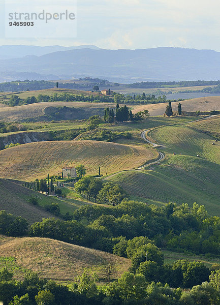 Hügelige Landschaft in den Crete Senesi  Provinz Siena  Toskana  Italien  Europa