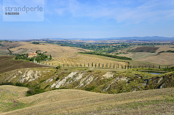 Zypressenalle zu einem Gutshof in den Crese Senesi  Provinz Siena  Toskana  Italien  Europa