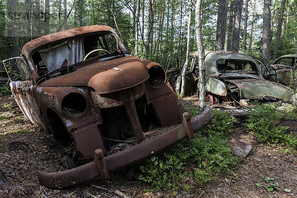Autofriedhof im Wald  Schrottautos  40er Jahre  bei Ryd  Smaland  Schweden  Europa