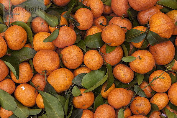 Mandarinen (Citrus reticulata)