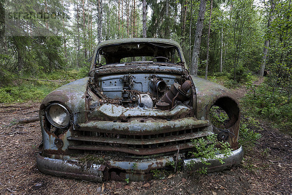 Autofriedhof im Wald  Schrottauto  40er Jahre  bei Ryd  Smaland  Schweden  Europa