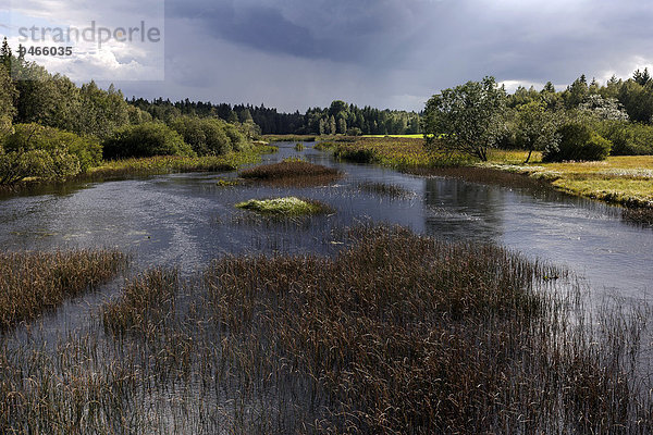 Flusslandschaft  am Nationalpark Store Mosse  Smaland  Schweden  Europa