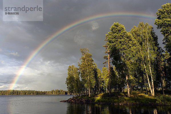 Regenbogen über dem Ruskensee  Gewitterwolken  Abendlicht  Smaland  Schweden  Europa