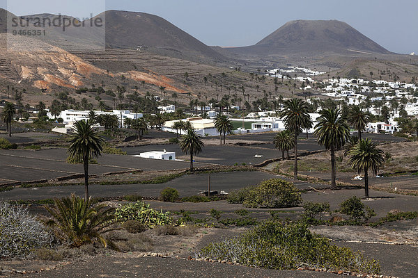 Ausblick auf Haria  Palmen  Lavafelder  hinten zwei Vulkanberge  Lanzarote  Kanarische Inseln  Spanien  Europa