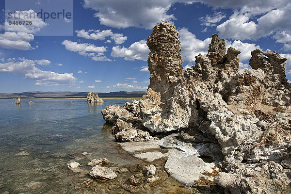 Tuff-Felsformation  Mono Lake  Mono Lake Tufa State Natural Reserve  Kalifornien  USA  Nordamerika