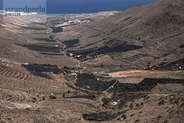 Ausblick vom Mirador de Haria ins Valle de Temisa  Terrassenfelder  Terrassenfeldbau  hinten Tabayesce und Arrieta  Lanzarote  Kanarische Inseln  Spanien  Europa