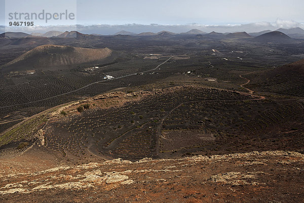 Ausblick von der Kette Montaña de Guardilama nach Norden auf das Weinanbaugebiet La Geria und die Vulkanlandschaft mit den Vulkanbergen  Lanzarote  Kanarische Inseln  Spanien  Europa