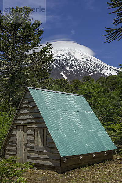 Nothütte und Vulkan Lanin  Curarrehue  Región de la Araucanía  Chile  Südamerika
