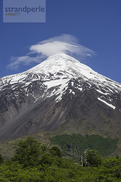 Vulkan Lanin  Curarrehue  Región de la Araucanía  Chile  Südamerika