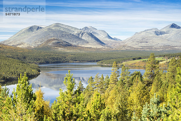 Ausblick vom Sohlbergplassen über den See Atnsjøen  zum Rondane-Nationalpark  Norwegische Landschaftsroute  Hedmark  Oppland  Norwegen  Europa