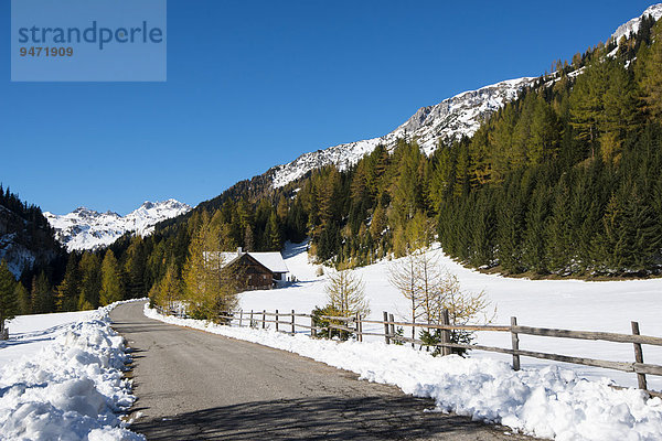 Herbst im Naturpark Riedingtal  Herbstverfärbung der Lärchen  erster Schnee  Zederhaus  Lungau  Salzburg  Österreich  Europa