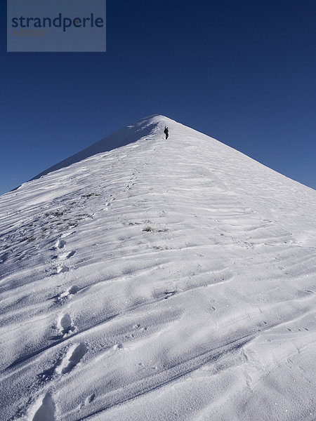 Ein Alpinist besteigt den Monte Motette  an einem Wintertag mit blauem Himmel  Monte Cucco Regionalpark  Umbrien  Italien  Europa