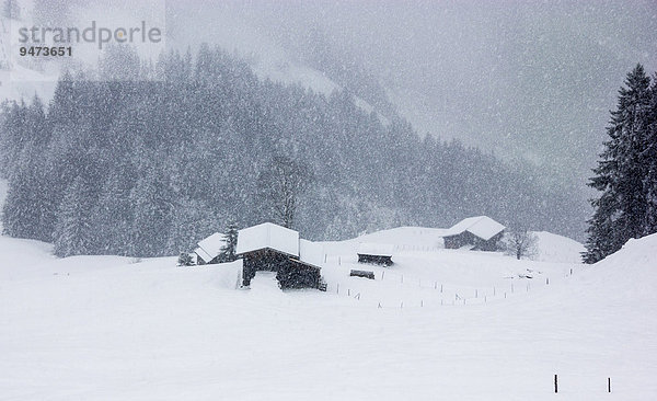 Scheune bei starkem Schneefall  Hochbrixen  Brixen im Thale  Tirol  Österreich  Europa