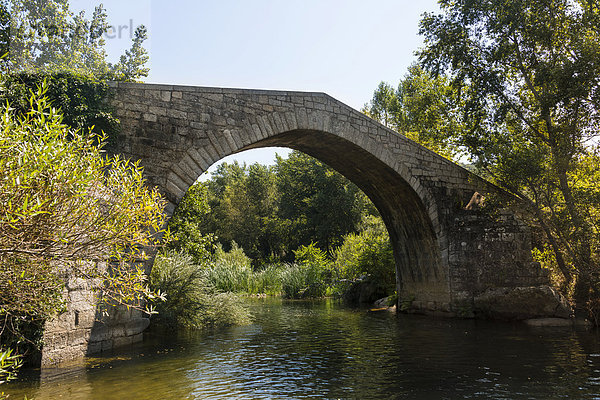 Spin'a Cavallu  Genueser-Brücke  Rizzanese-Tal  bei Sartène  Corse-du-Sud  Korsika  Frankreich  Europa