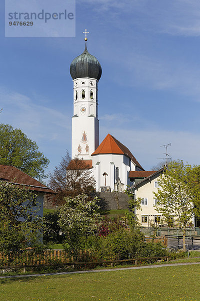 Pfarrkirche Mariä Himmelfahrt  Münsing  Oberbayern  Bayern  Deutschland  Europa