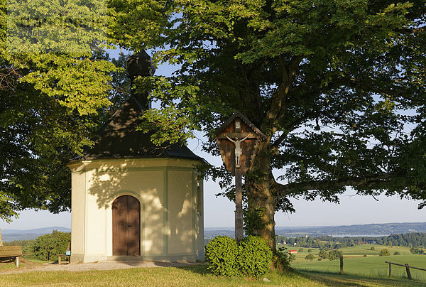 Maria-Dank-Kapelle auf dem Fürst-Tegernberg  Münsing  Oberbayern  Bayern  Deutschland  Europa