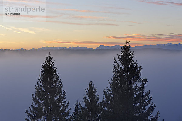 Morgenstimmung  Weiße Wand über Pupplinger Au  Icking  Oberbayern  Bayern  Deutschland  Europa