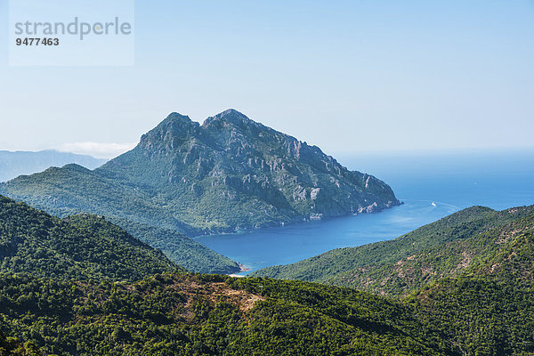 Bewaldete Berge an der Küste  Golf von Porto  Korsika  Frankreich  Europa