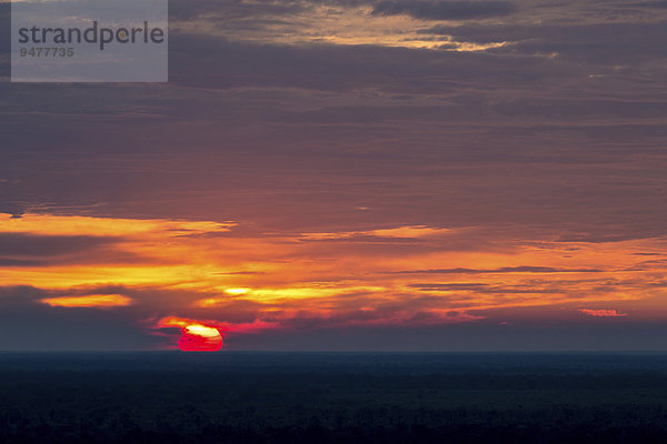 Morgenrot über der afrikanischen Savanne  Sonnenaufgang  Ghoha Hills  Chobe-Nationalpark  Botswana  Afrika