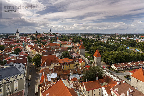 Ausblick vom Turm der Olaikirche auf die Altstadt  Vanalinn  Tallinn  Kreis Harju  Estland  Europa
