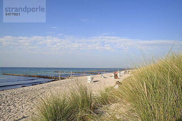 Ostseestrand mit Strandkörben  Ahrenshoop  Mecklenburg-Vorpommern  Deutschland  Europa
