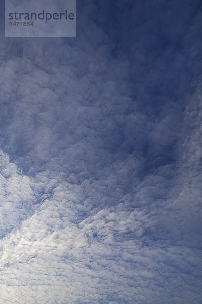 Haufenschichtwolken  Stratocumulus