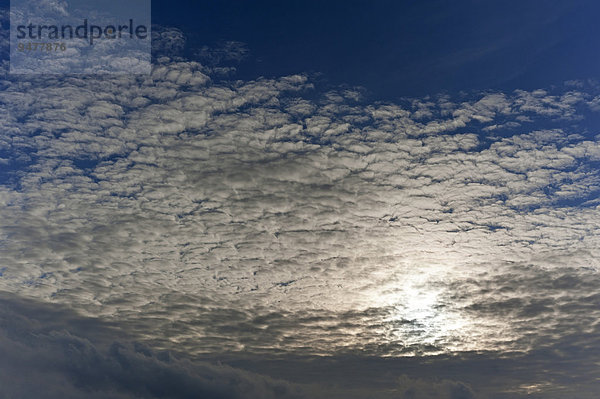 Schäfchenwolken  Wolkendecke  Cirrocumulus  vor der Sonne