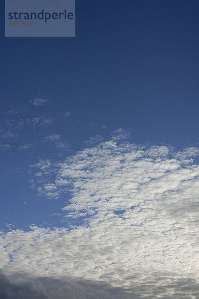 SchSchäfchenwolken  Wolkendecke  Cirrocumulus