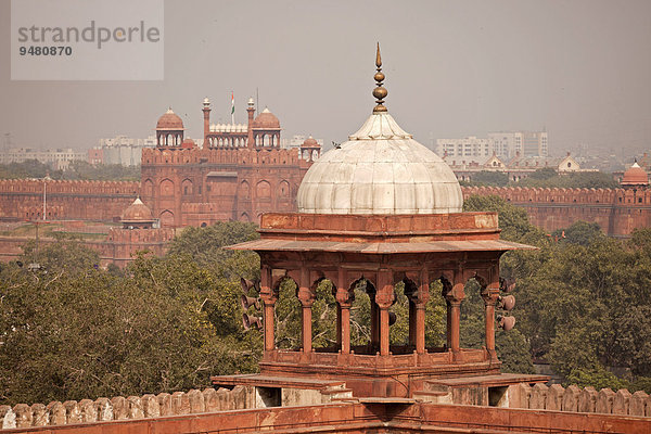 Kuppel der Freitagsmoschee Jama Masjid und das Rote Fort  Delhi  Indien  Asien