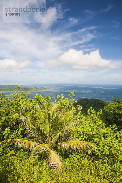 Überblick  Insel Pohnpei  Mikronesien  Ozeanien