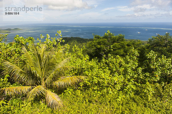 Überblick  Insel Pohnpei  Mikronesien  Ozeanien