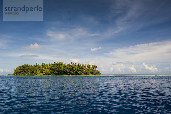 Insel  Atoll Ant  Pohnpei  Mikronesien  Ozeanien