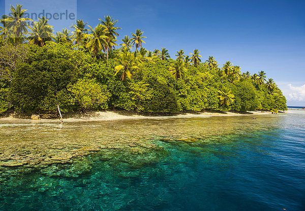 Klares Wasser und Insel  Atoll Ant  Pohnpei  Mikronesien  Ozeanien