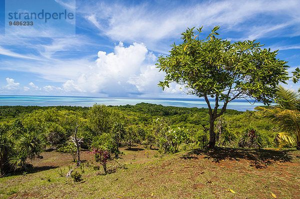 Ausblick über die Insel Babeldaob  Palau  Mikronesien  Ozeanien
