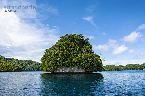 Kleine Insel  Chelbacheb-Inseln  auch Rock Islands  Palau  Mikronesien  Ozeanien