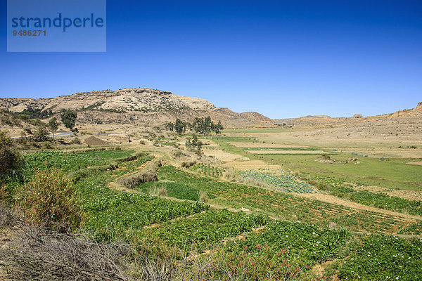 Berglandschaft entlang der Straße von Asmarra nach Qohaito  Eritrea  Afrika